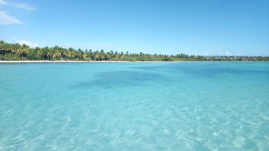 Saona Island With Catamaran and Lunch