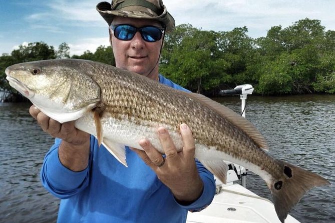 Sarasota Inshore Fishing Charters - Charter Overview