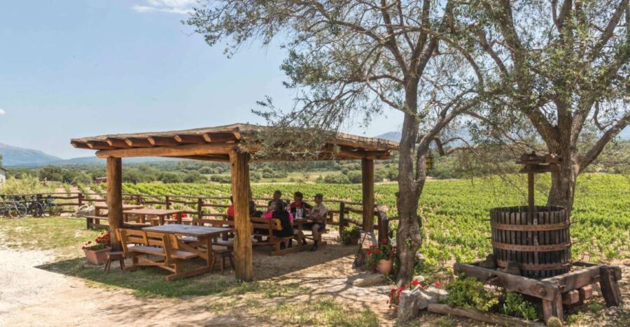 Sardinia: Dorgali Winery Tour With Tasting and Local Guide