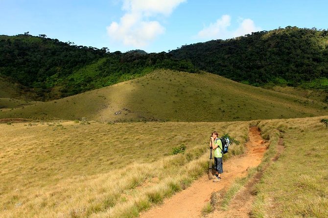 Scenic Train Ride Ella To Horton Plains National Park And Drop Nuwara Eliya
