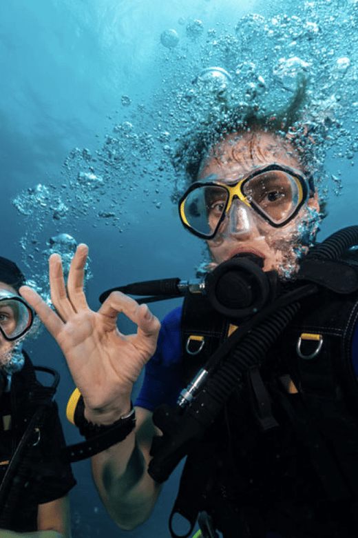 Scuba Dive in Cades Reef