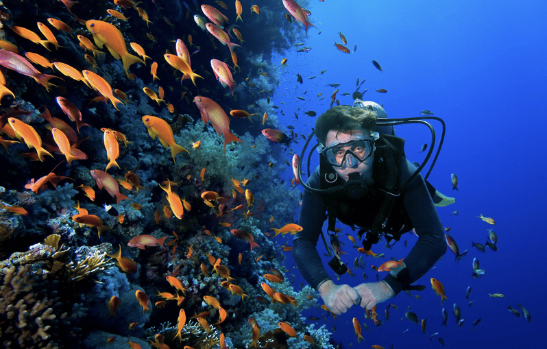Scuba Dive in Malpelo