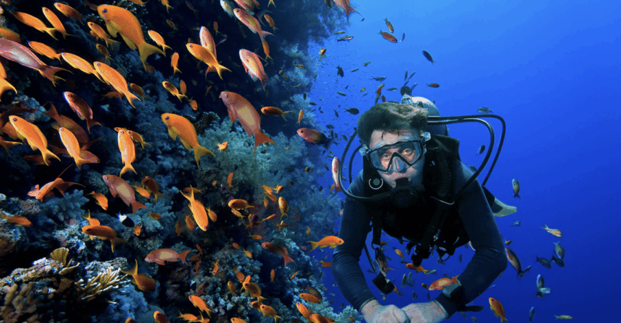 Scuba Dive in Providencia