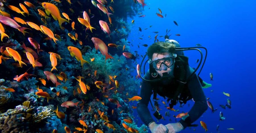 Scuba Dive in Sosua Cabarete