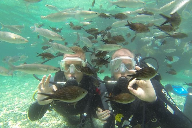Scuba Diving From Dalyan - Exploring the Aegean Seas Marine Life