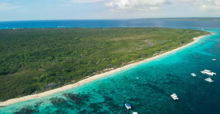 Scuba Diving Or Snorkeling Catalina Island From Punta Cana