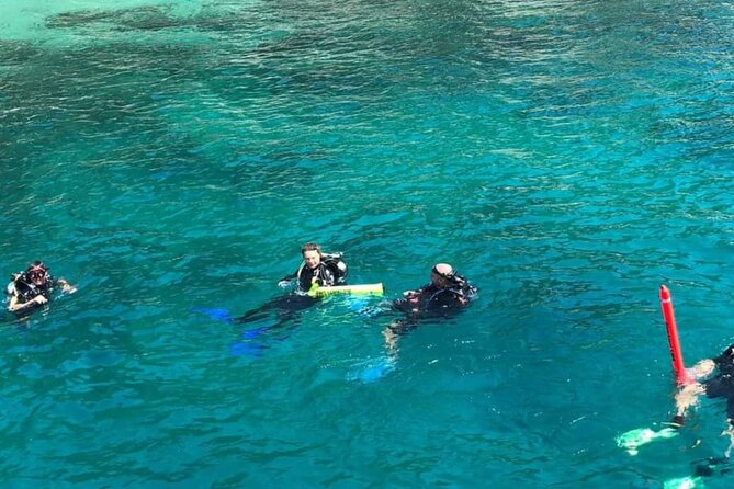 Scuba Diving Tour in Cham Island for Certified Divers or Beginners - Inclusions