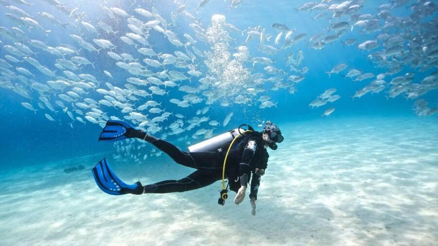 Scuba Diving Tour in Puerto Plata Hotel/Shore