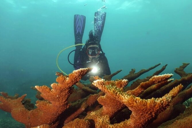 Scuba Tour for Certified Divers in San Juan - Tour Overview