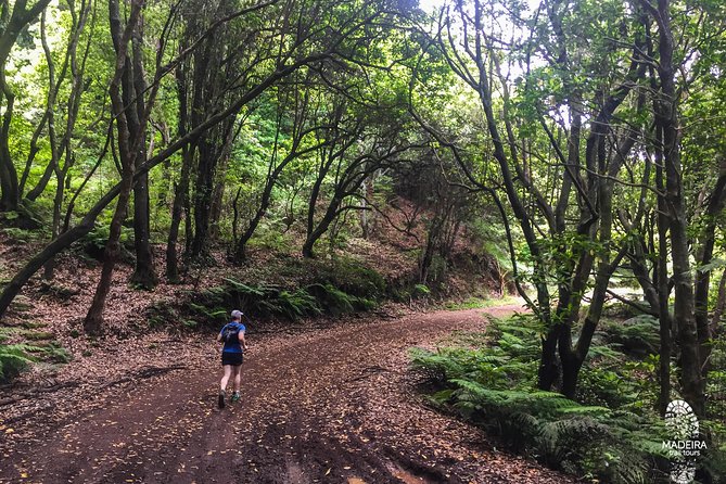 Sea 2 Mountain Running Tour (Moderate-Hard)