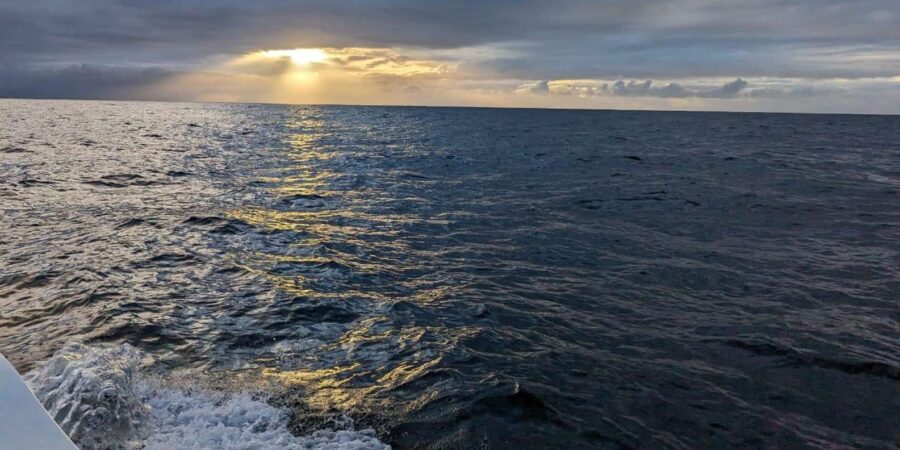 7 Best Cruises And Boat Tours In Port Elizabeth