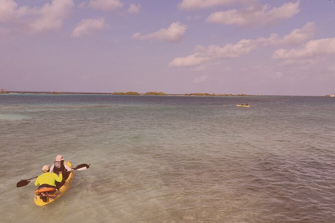 Sea Glass Island Kayak & Sunset Tour