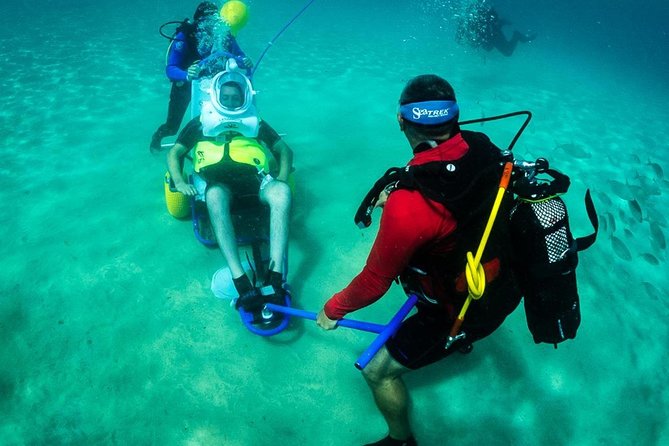 Sea Trek and Diving for Handicaped People - Overview of the Activity
