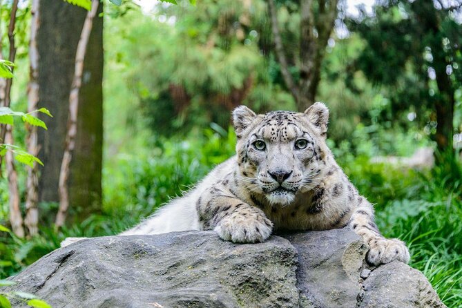 See 30 Top New York Sights (Walking Tour) & Visit Central Park Zoo.