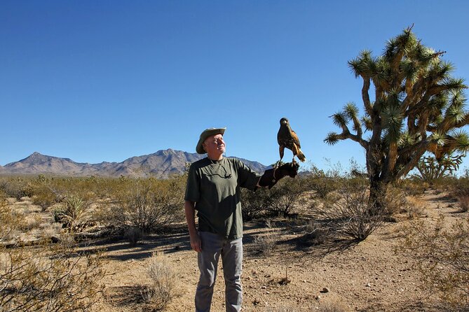 Self Drive Raptor Experience (1 Hour) in Joshua Tree Forest