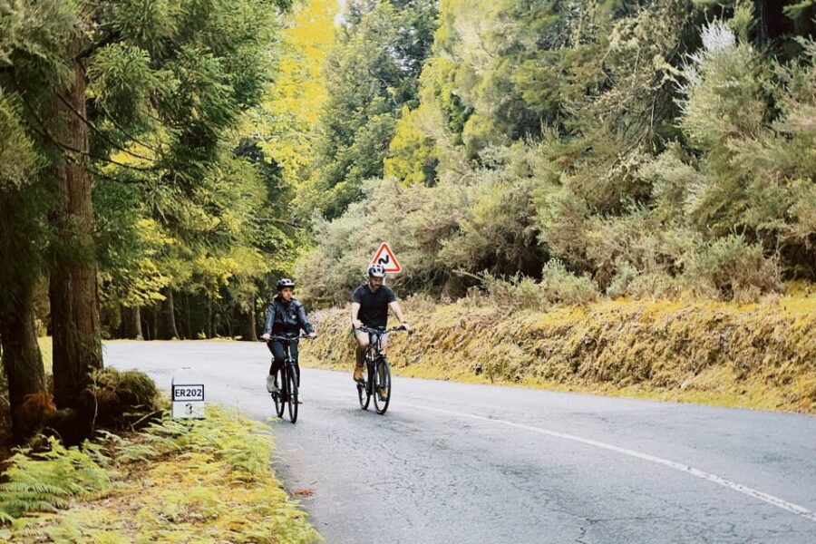 Self-Guided E-Bike Road Tour – Camacha to Monte With Lunch