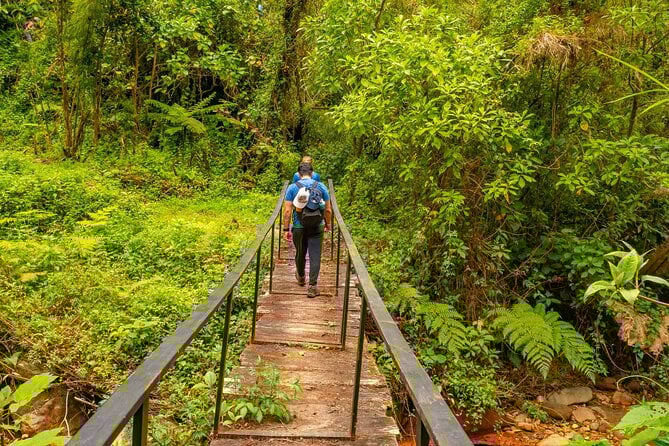 Self-Guided Walk in the Iral Cloud Forest Trails - Overview of the Activity