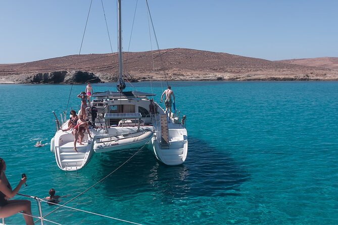 Semi Private Cruise With Luxury Catamaran in Delos and Rhenia Islands - Overview and Experience
