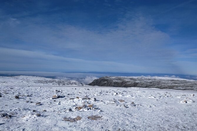 Serra Da Estrela S1 – Tasting Cheese