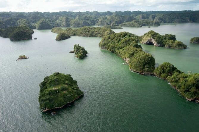 Shared 10-12 Hours Tour in Los Haitises National Park