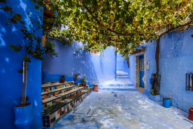 Shared Group Chefchaouen Day Trip From Fez