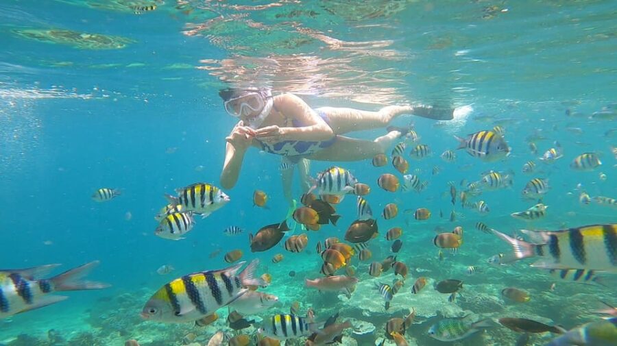 Sharing Snorkeling 3 Islands Visit Turtle Sanctuary