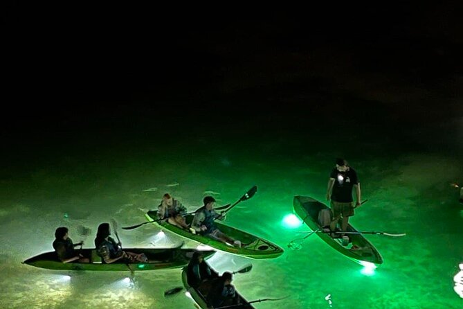 Sharkeys Glass Bottom Fish Feeding LED Night Tour in Clearwater - What to Expect