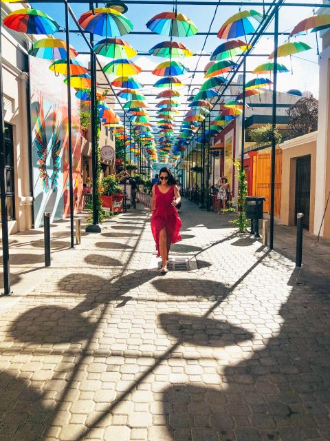 Shore Excursion: Eat Drink and Be Merry Puerto Plata City - Tour Overview
