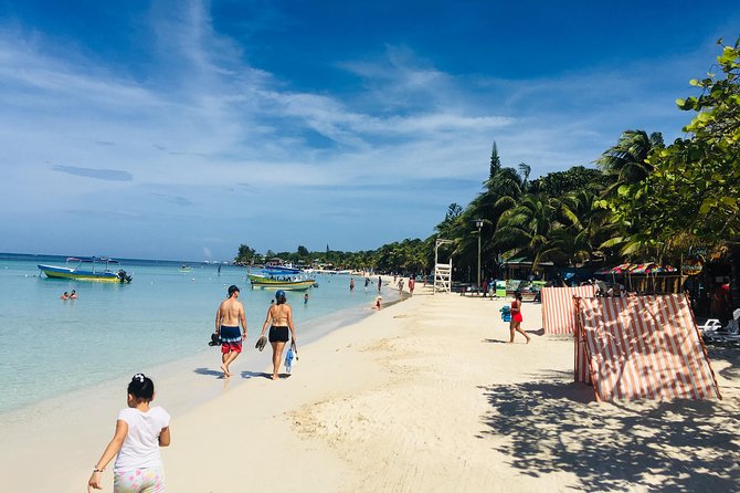Shore Excursion: Horseback Riding With Wildlife and Reef Snorkel - Itinerary Overview