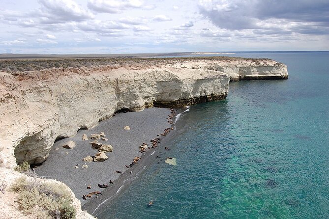Shore Excursion Punta Loma Sea Lions Reserve Including Puerto Madryn City Tour