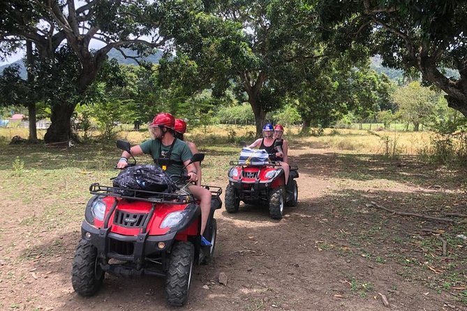 Shore Excursion: V.I.P. DayPass: ATV, Zip Lines, Horseback Riding & Lunch