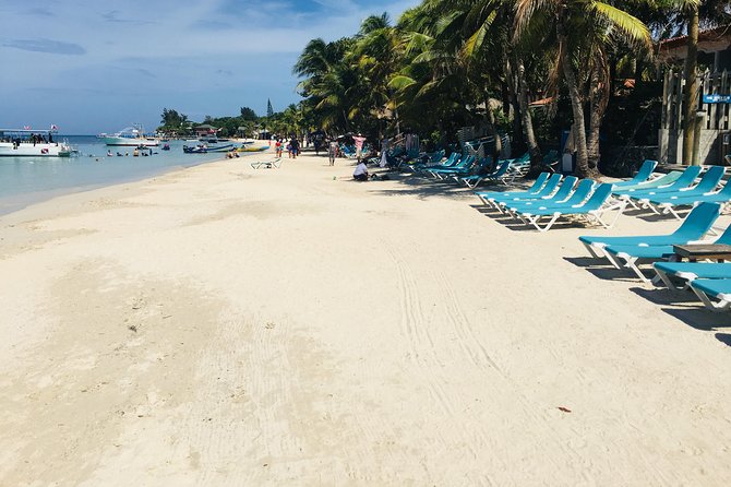Shore Excursion: Wildlife Eco-Park With Chocolate and Rum Tasting - Itinerary and Highlights