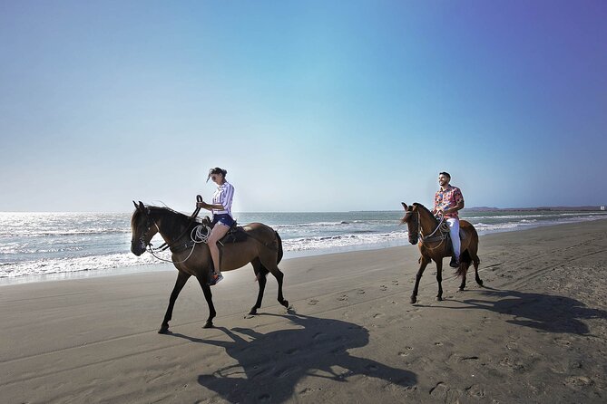 Shore Mangrove Tour + Lunch + Horse Riding + Fishing Classes
