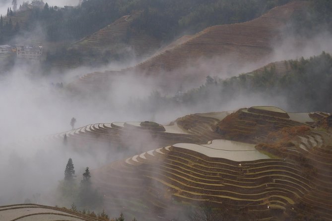 Short Li-River Cruise and Longji Rice Terraces Private Day Tour