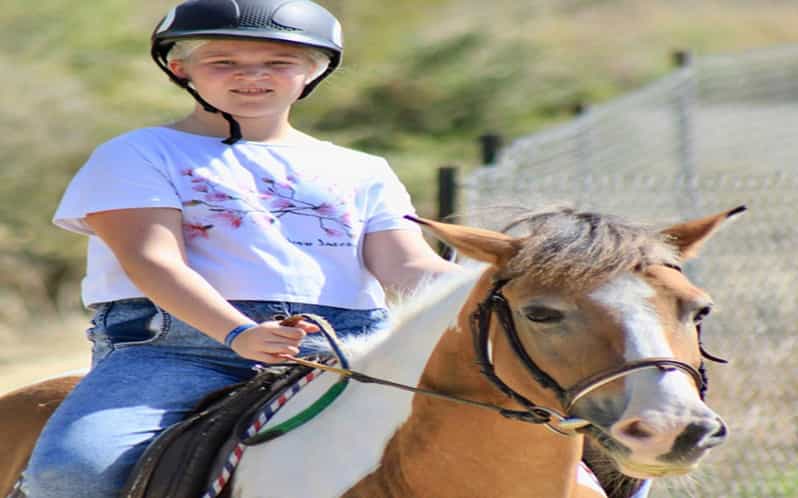Side: Horse Safari Tour - Tour Overview and Pricing