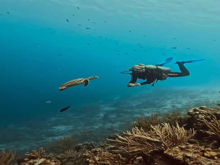 Side or Alanya Scuba Diving Experience