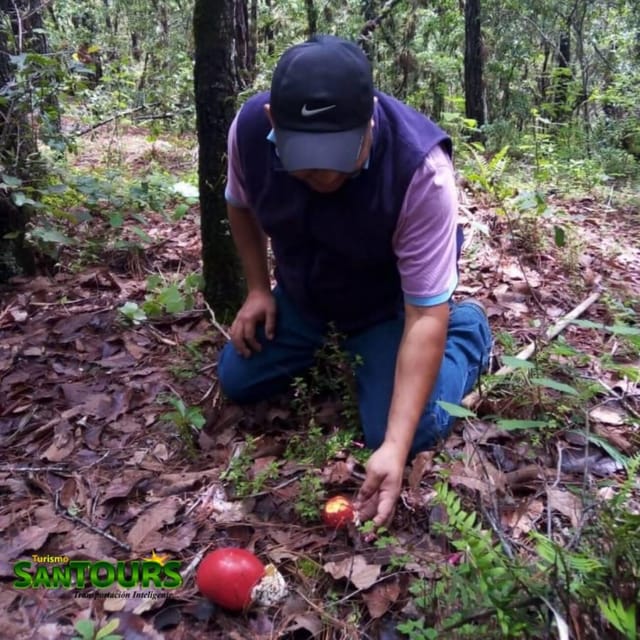 Sierra Norte: Eco Adventure Tour
