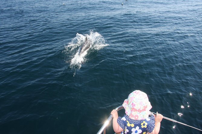 Sighting Dolphin Trip Estepona, Marbella
