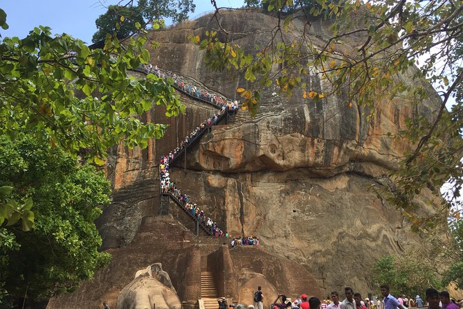 Sigiriya & Dambulla Day Tour