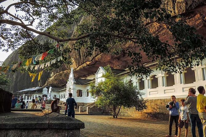 Sigiriya Rock Fortress And Dambulla Rock Cave Temple Tour (All Inclusive)