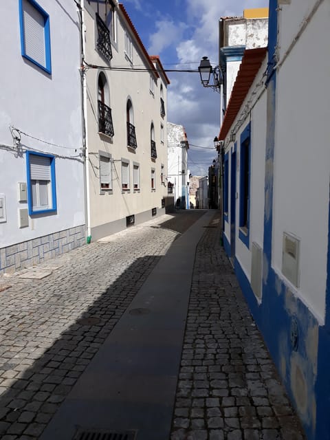 Sines: Tour of the Historic Center, Museum & Castle of Sines - Tour Overview