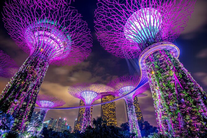 Singapore: 4 Hours - Private Car or Minibus Rental With Driver - Vehicle and Amenities