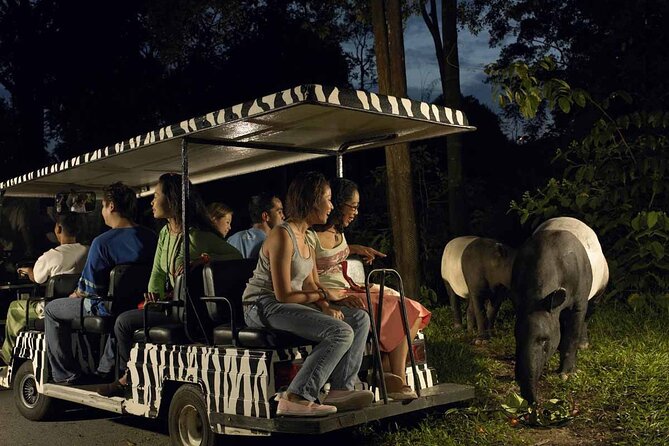 Singapore: Night Safari Entry Ticket - Ticket Information and Pricing