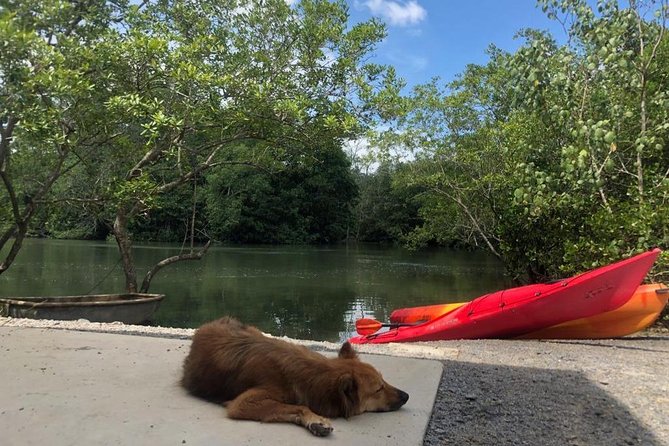 Singapore Paddle to Pedal Adventure in Pulau Ubin