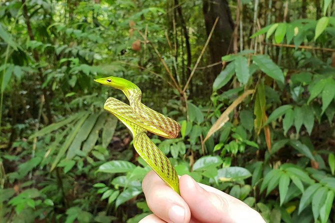 Sinharaja Expedition Short Tour With One Waterfall All Included