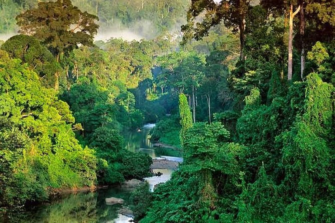 Sinharaja Rain Forest Guided Day Tour From Colombo and Negombo - Inclusions and Accessibility