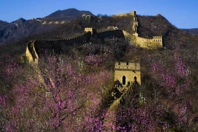 Six Days Highlight Tour From Beijing to Kunming by High-Speed Train - Inclusions