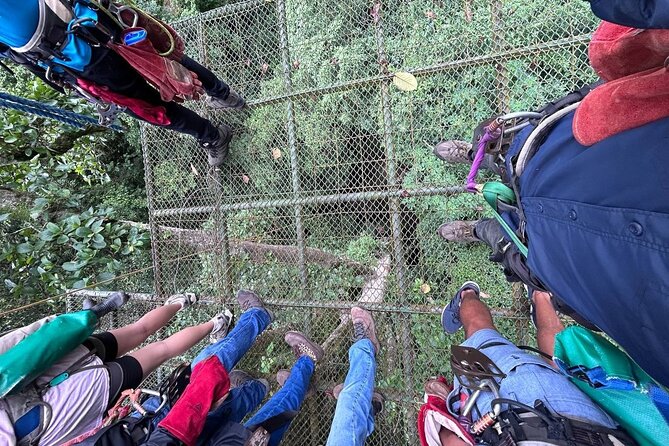 SJOS City Nature Full Combo With Sloths, University and Zipline