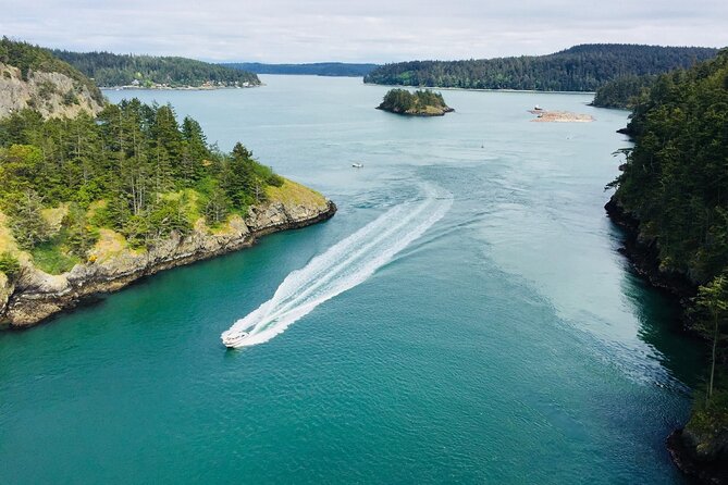 Skagit Valley Birding + Deception Pass Day Tour From Seattle