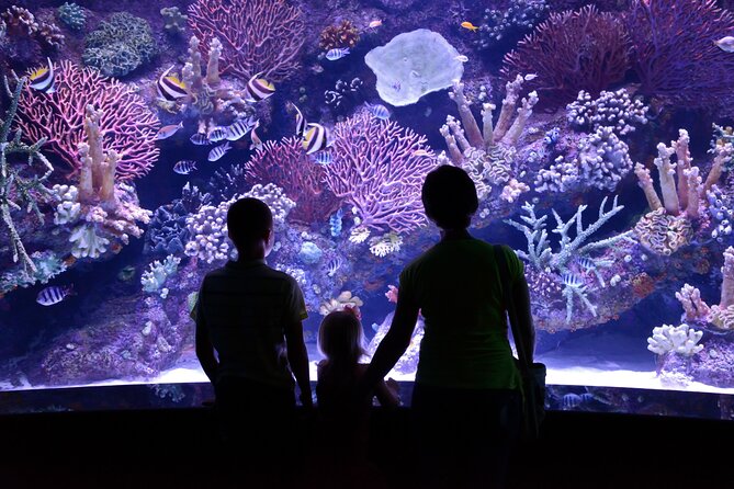 Skip the Line: Antalya Aquarium Ticket